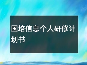 國培信息個人研修計劃書