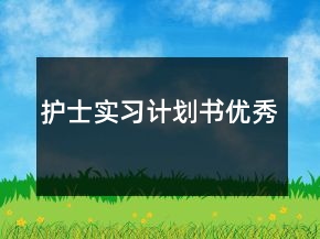 護士實習(xí)計劃書優(yōu)秀