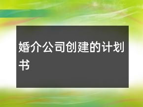 婚介公司創(chuàng)建的計劃書