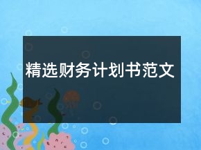 精選財(cái)務(wù)計(jì)劃書范文