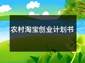 農(nóng)村淘寶創(chuàng)業(yè)計(jì)劃書