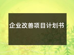 企業(yè)改善項目計劃書