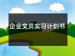 企業(yè)文員實習(xí)計劃書