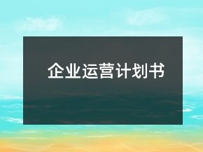 企業(yè)運(yùn)營(yíng)計(jì)劃書