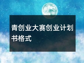青創(chuàng)業(yè)大賽創(chuàng)業(yè)計(jì)劃書(shū)格式