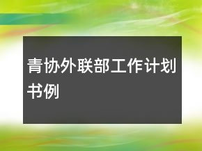 青協(xié)外聯(lián)部工作計劃書例