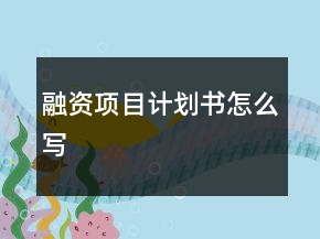 融資項(xiàng)目計(jì)劃書怎么寫