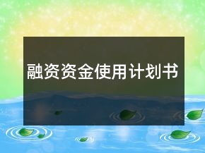 融資資金使用計劃書