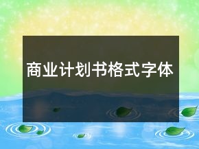 商業(yè)計(jì)劃書格式字體