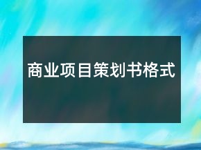 商業(yè)項目策劃書格式