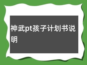 神武pt孩子計(jì)劃書說明