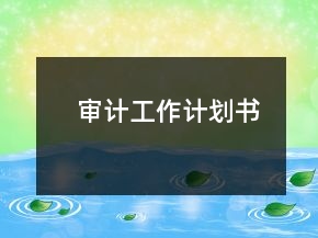 審計(jì)工作計(jì)劃書