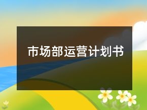 市場(chǎng)部運(yùn)營(yíng)計(jì)劃書(shū)