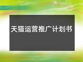天貓運(yùn)營推廣計(jì)劃書
