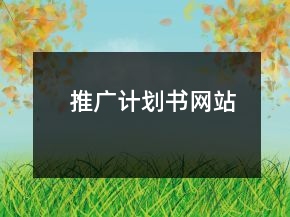 推廣計(jì)劃書——網(wǎng)站