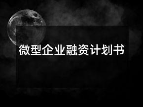 微型企業(yè)融資計(jì)劃書