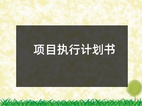 項(xiàng)目執(zhí)行計(jì)劃書