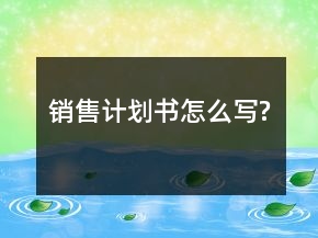 銷售計劃書怎么寫?