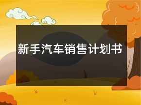 新手汽車銷售計(jì)劃書