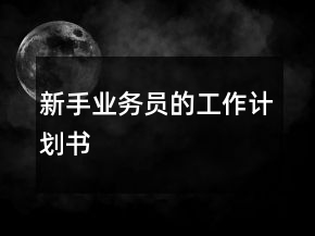 新手業(yè)務(wù)員的工作計劃書