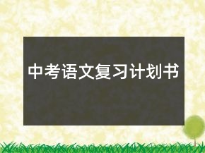中考語文復(fù)習(xí)計(jì)劃書
