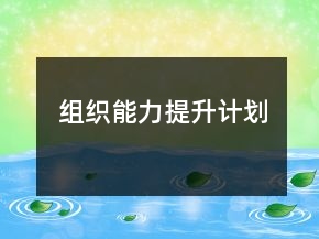 組織能力提升計(jì)劃