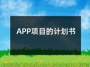 APP項(xiàng)目的計(jì)劃書(shū)