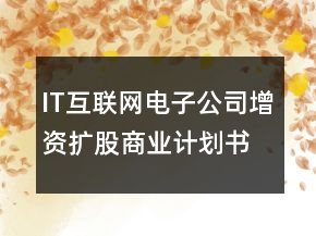 IT互聯(lián)網(wǎng)電子公司增資擴股商業(yè)計劃書范文