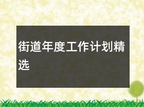 街道年度工作計(jì)劃精選
