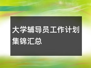 大學(xué)輔導(dǎo)員工作計劃集錦匯總