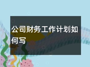 公司財務(wù)工作計劃如何寫