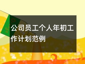 公司員工個(gè)人年初工作計(jì)劃范例
