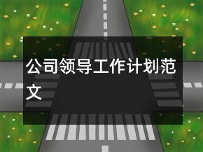 公司領(lǐng)導(dǎo)工作計劃范文