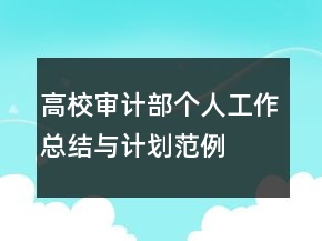 高校審計部個人工作總結(jié)與計劃范例
