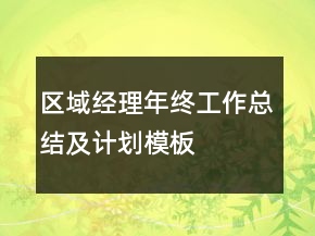 區(qū)域經(jīng)理年終工作總結(jié)及計劃模板