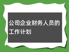 公司企業(yè)財(cái)務(wù)人員的工作計(jì)劃