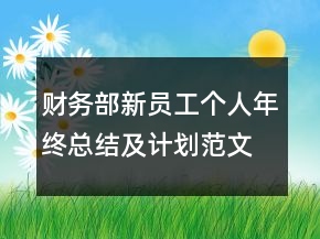財務(wù)部新員工個人年終總結(jié)及計劃范文