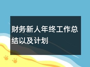 財(cái)務(wù)新人年終工作總結(jié)以及計(jì)劃