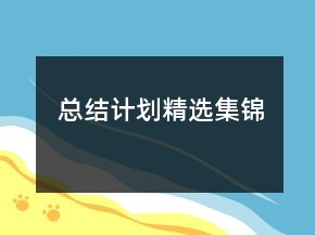總結(jié)計劃精選集錦
