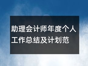 助理會(huì)計(jì)師年度個(gè)人工作總結(jié)及計(jì)劃范文模板