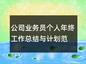 公司業(yè)務(wù)員個人年終工作總結(jié)與計劃范文