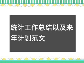 統(tǒng)計(jì)工作總結(jié)以及來(lái)年計(jì)劃范文