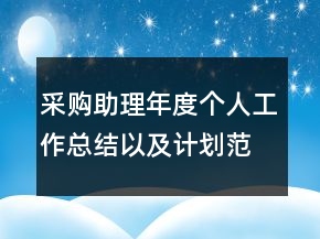 采購助理年度個人工作總結(jié)以及計劃范文