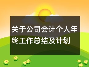 關(guān)于公司會計個人年終工作總結(jié)及計劃范文精選