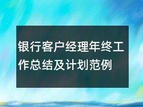 銀行客戶經(jīng)理年終工作總結(jié)及計劃范例