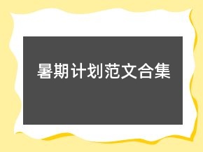 暑期計劃范文合集