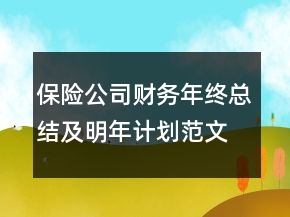 保險公司財務(wù)年終總結(jié)及明年計劃范文精選