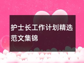 護(hù)士長工作計(jì)劃精選范文集錦