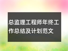 總監(jiān)理工程師年終工作總結及計劃范文精選