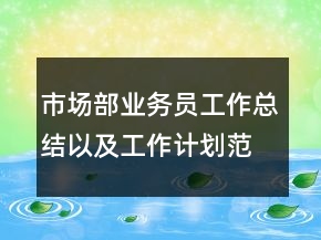 市場(chǎng)部業(yè)務(wù)員工作總結(jié)以及工作計(jì)劃范文
